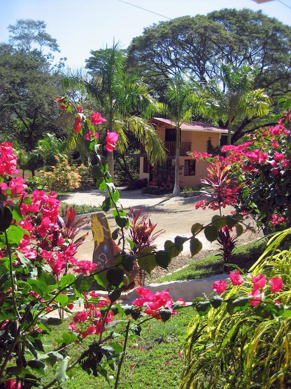 מלון Jicaral Royal Heights חדר תמונה